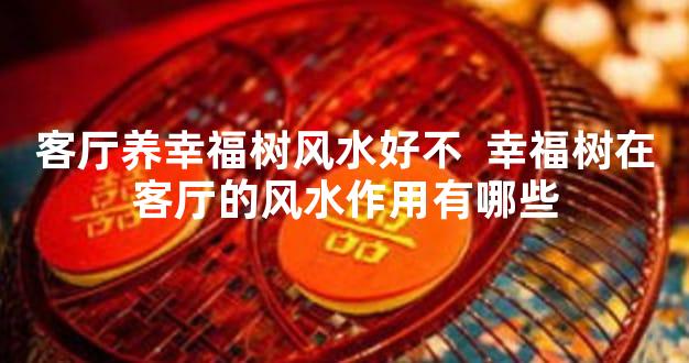 客厅养幸福树风水好不  幸福树在客厅的风水作用有哪些